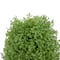 15" Unlit Artificial Boxwood Cone Topiary Tree with Round Pot